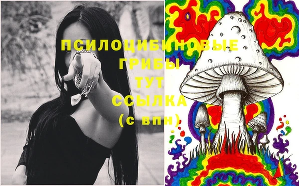 твердый Лиски