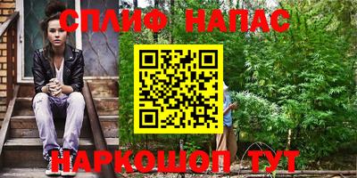 прущие грибы Канаш