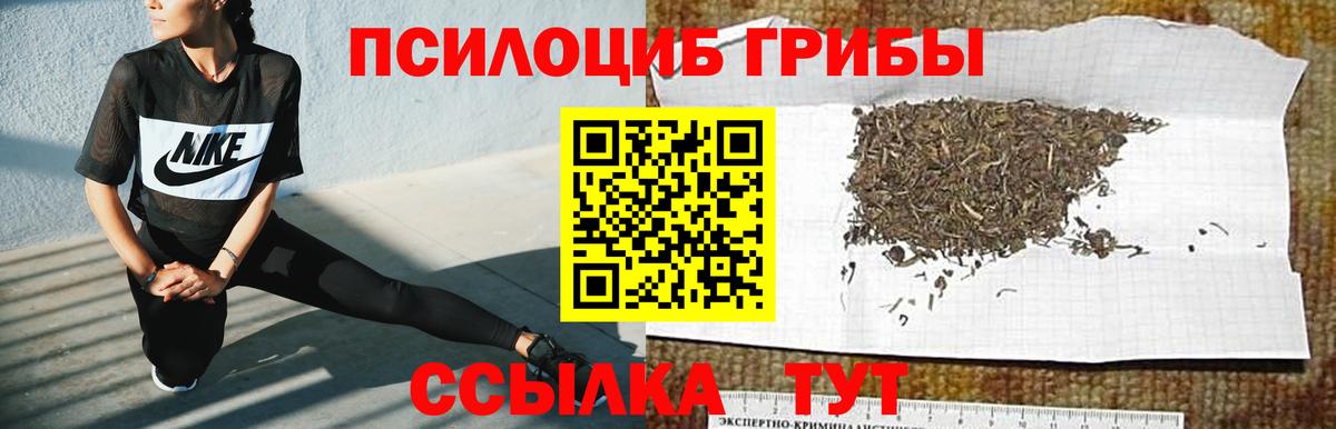 Псилоцибиновые грибы Cubensis  Вход с VPN  Набережные Челны 